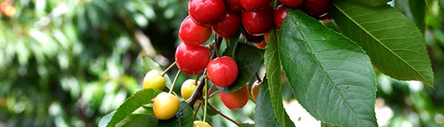 token.im下载-imtoken下载-imtoken钱包app