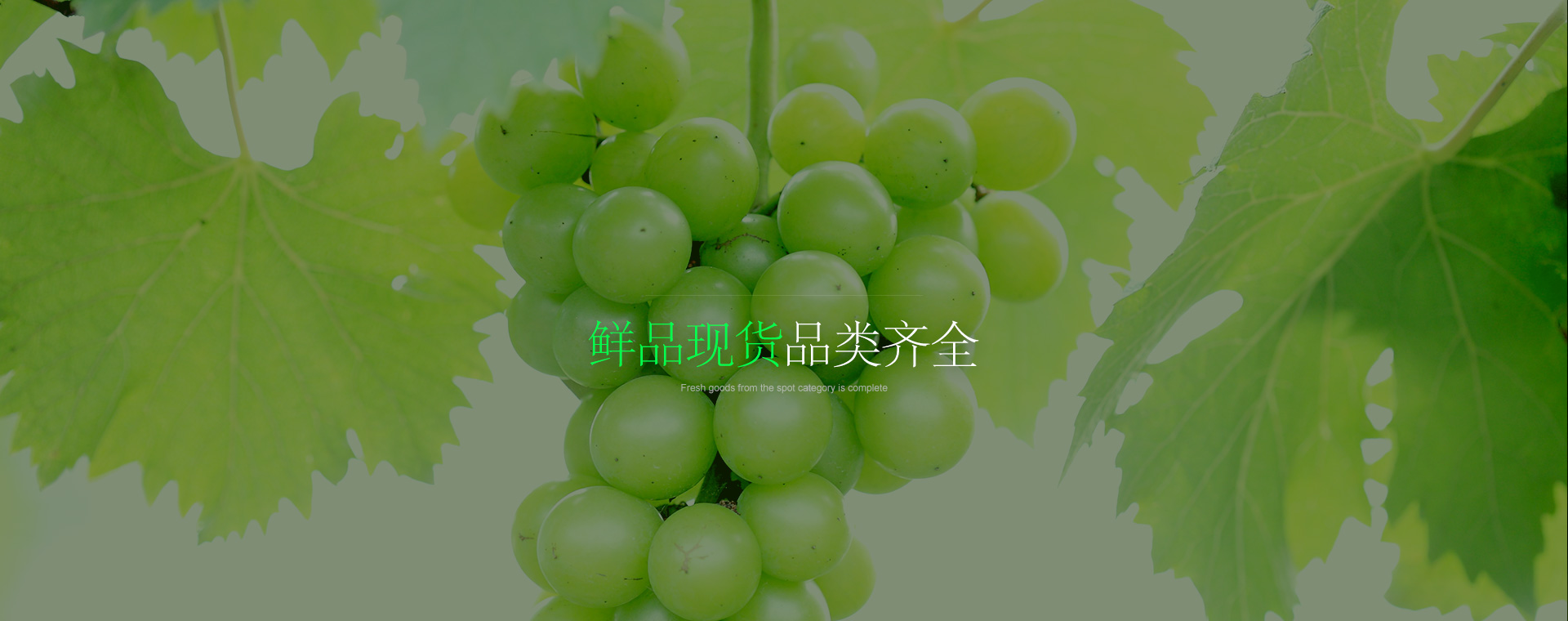 token.im下载-imtoken下载-imtoken钱包app